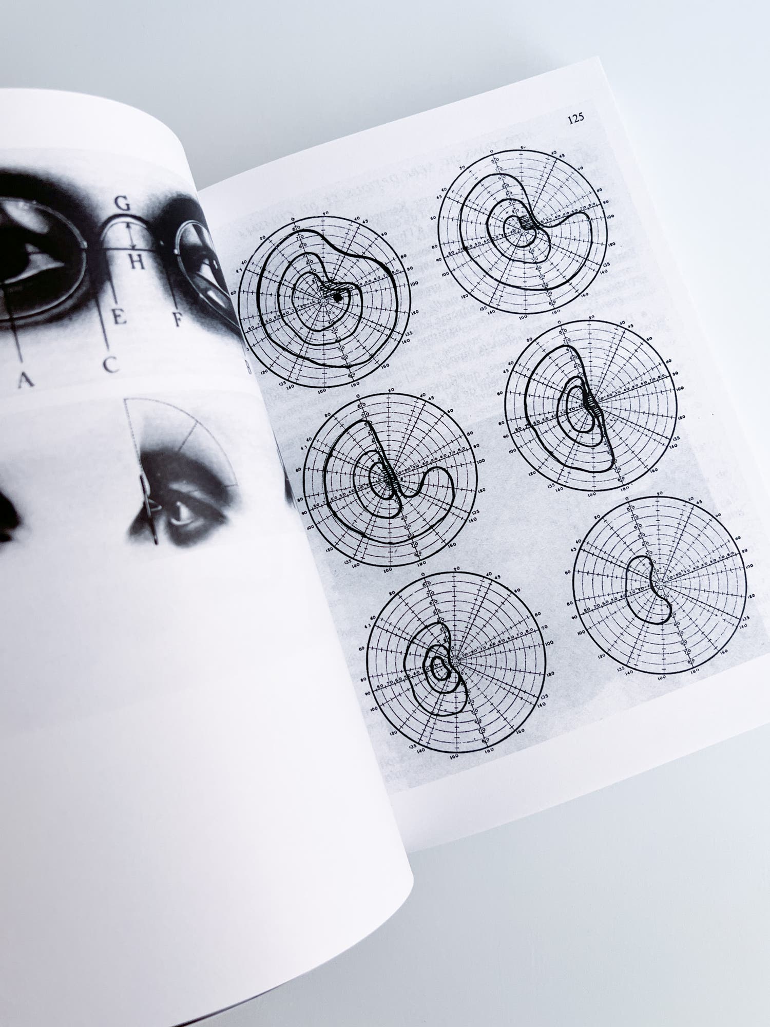 3000 Days of Archives Related to the Optics and Glasses Frame Industry