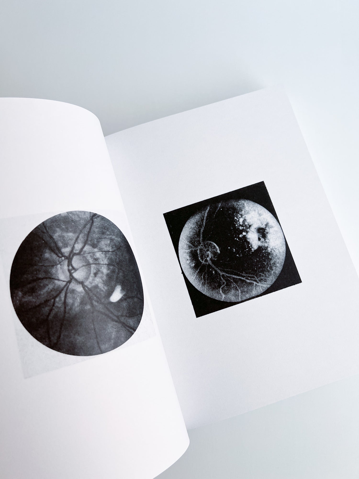 3000 Days of Archives Related to the Optics and Glasses Frame Industry