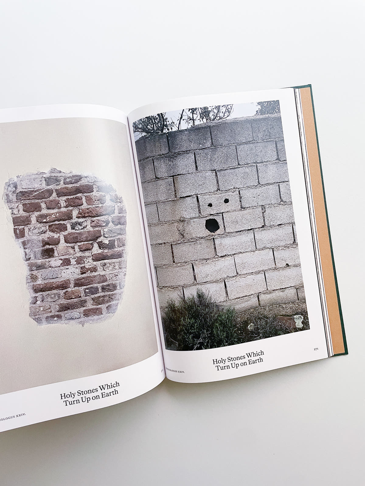 Bestiary / Anne Geene, Arjan de Nooy