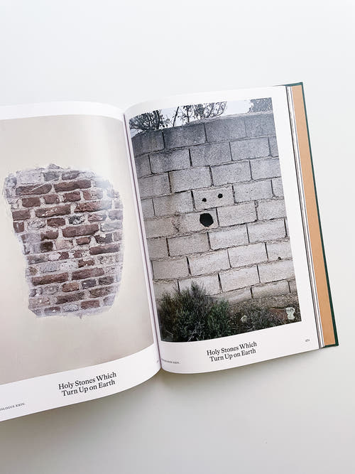 Bestiary / Anne Geene, Arjan de Nooy