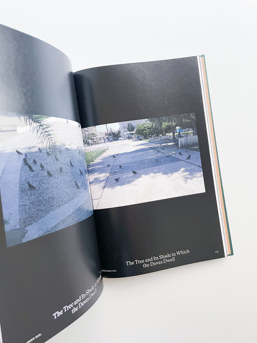 Bestiary / Anne Geene, Arjan de Nooy
