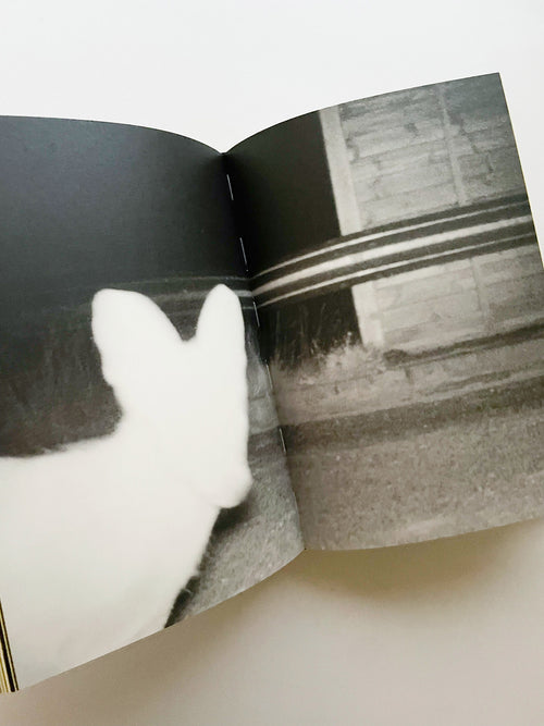 Ainsi de suite / Sophie Calle