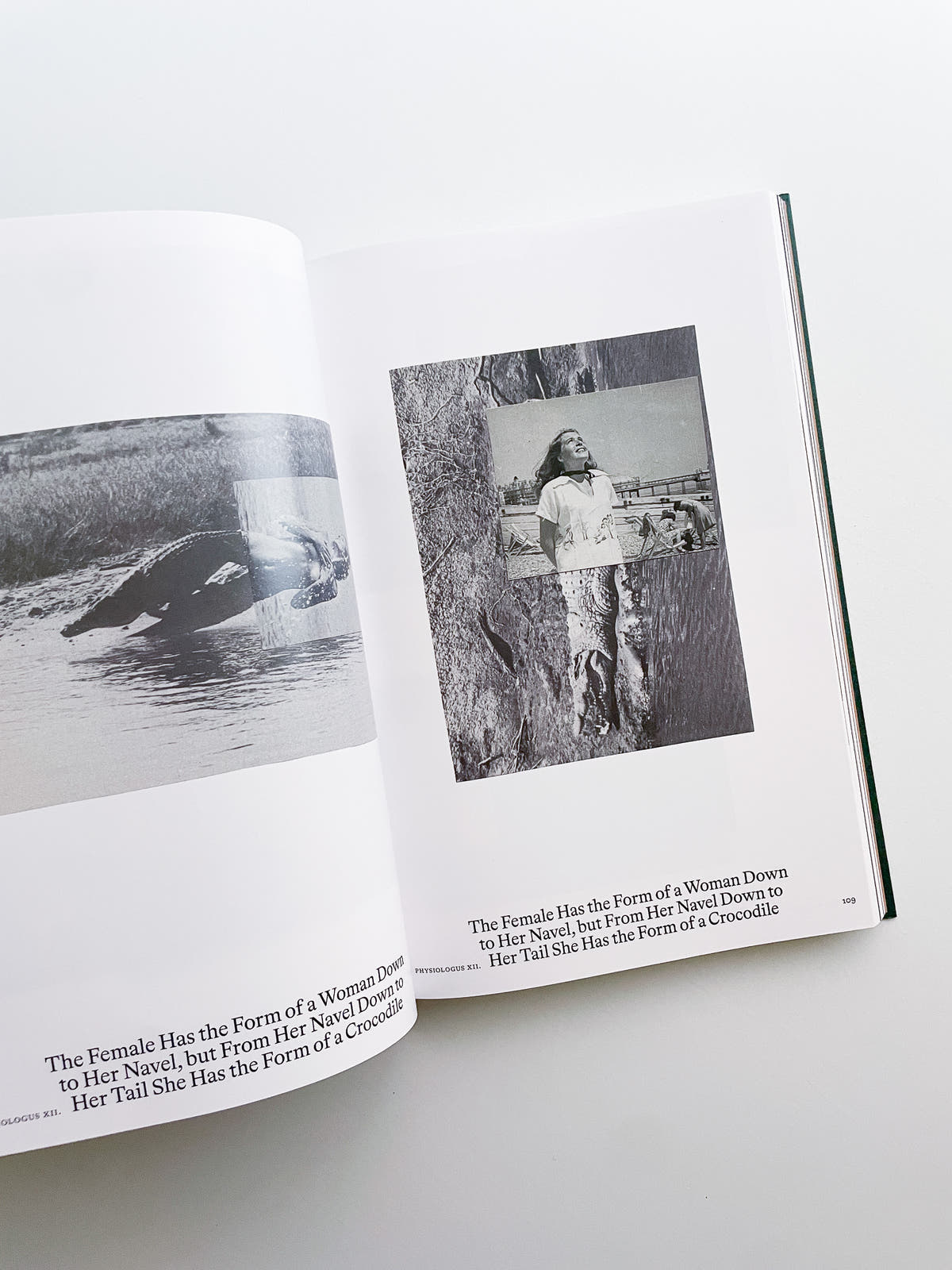 Bestiary / Anne Geene, Arjan de Nooy