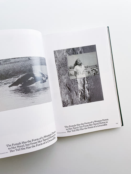 Bestiary / Anne Geene, Arjan de Nooy