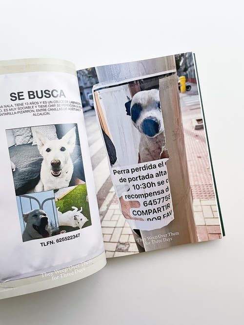 Bestiary / Anne Geene, Arjan de Nooy