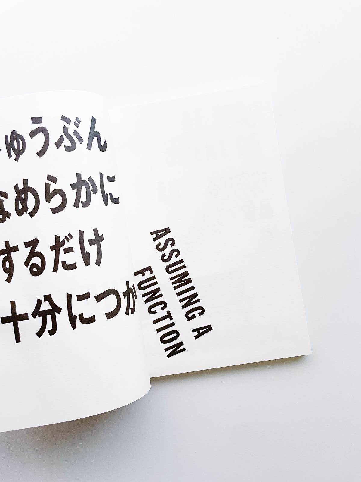 りんご & たまご, しお & こしょう apples & eggs, salt & pepper / Lawrence Weiner