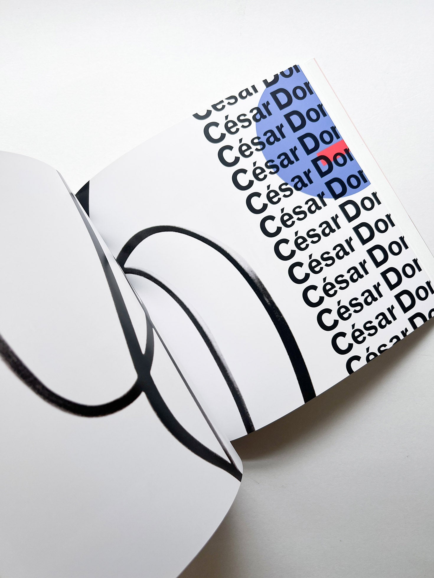 Fifty years of paper 1961-2011 / Bruno Monguzzi