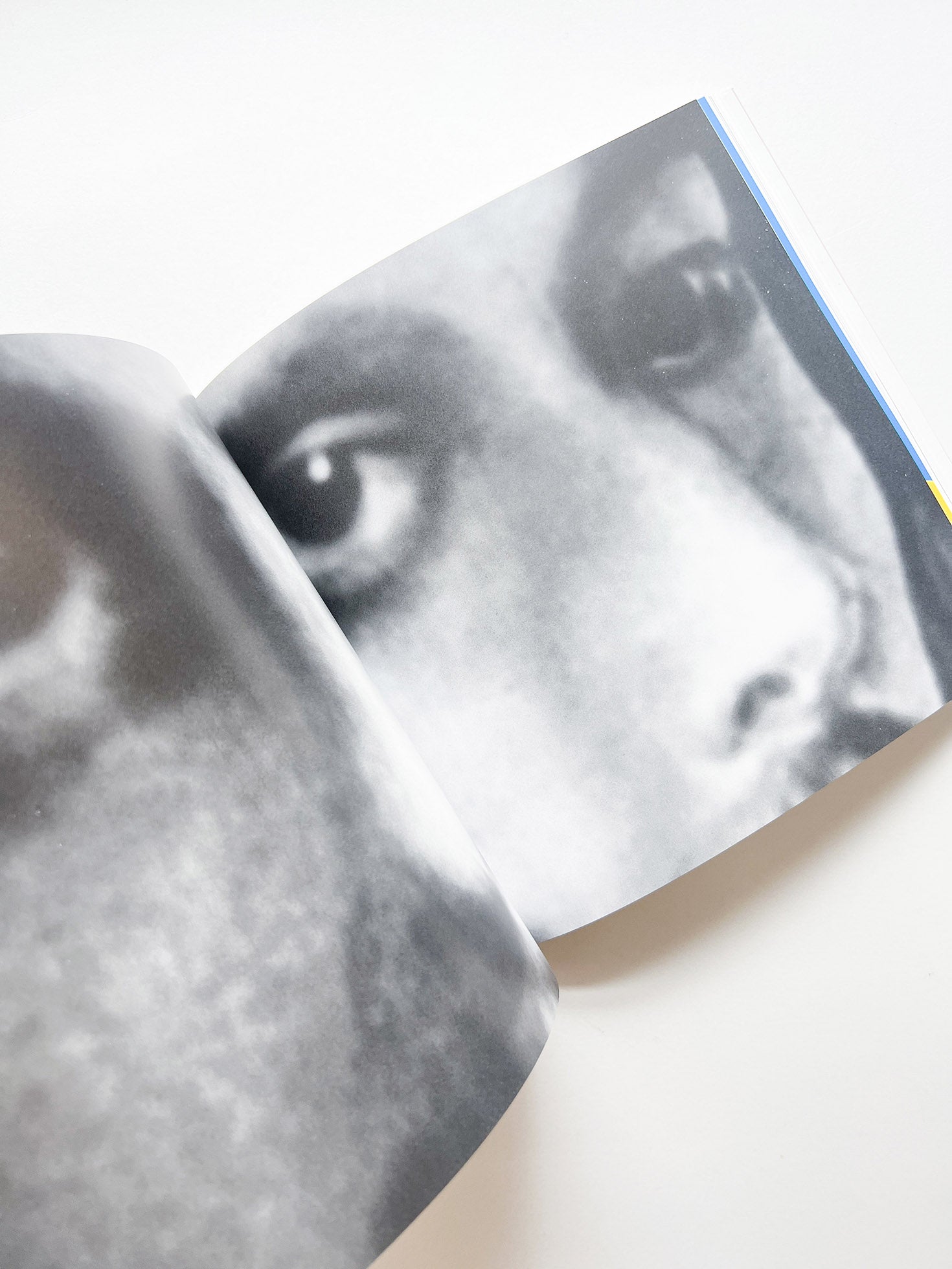 Fifty years of paper 1961-2011 / Bruno Monguzzi