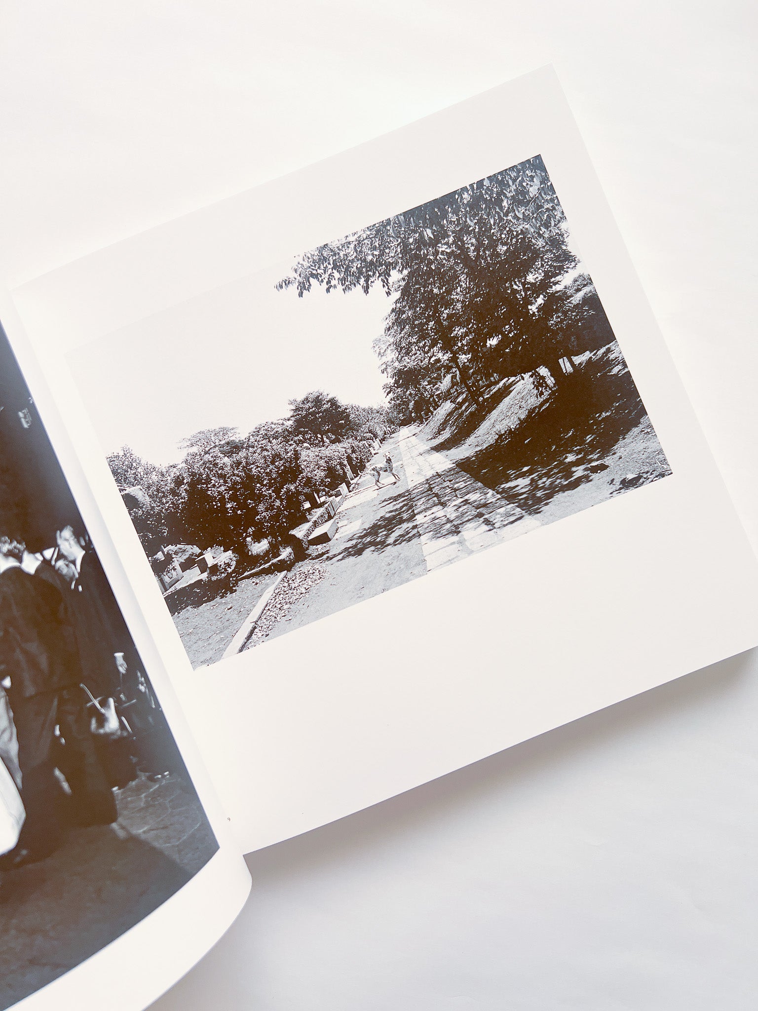 牛腸茂雄全集 Shigeo Gocho: Works - 本屋青旗 Ao-Hata Bookstore