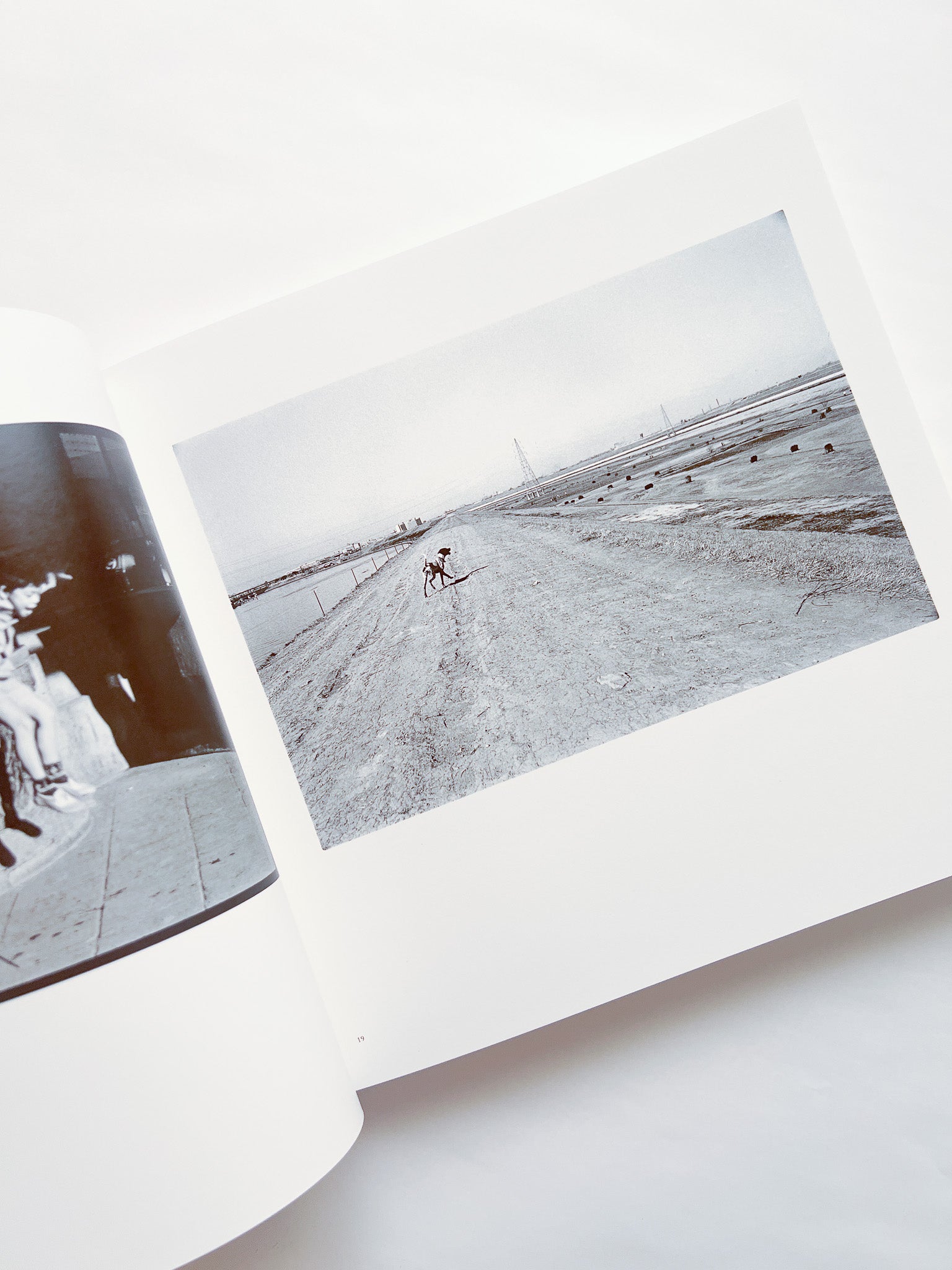 牛腸茂雄全集 Shigeo Gocho: Works - 本屋青旗 Ao-Hata Bookstore