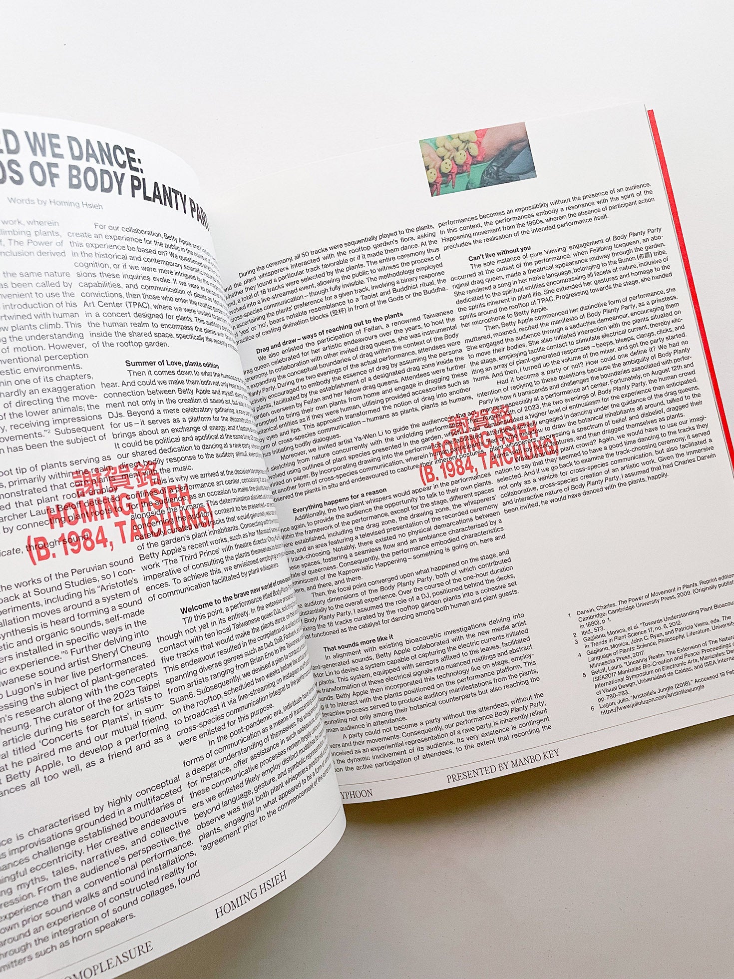 TYPHOON: In the Eye of Taiwan’s New Artistic Whirlwinds