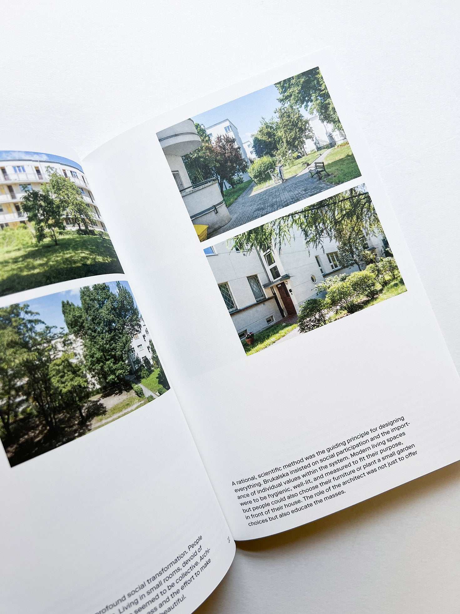 ALINA, BARBARA, HALINA, HELENA, ZOFIA / Aglaia Konrad