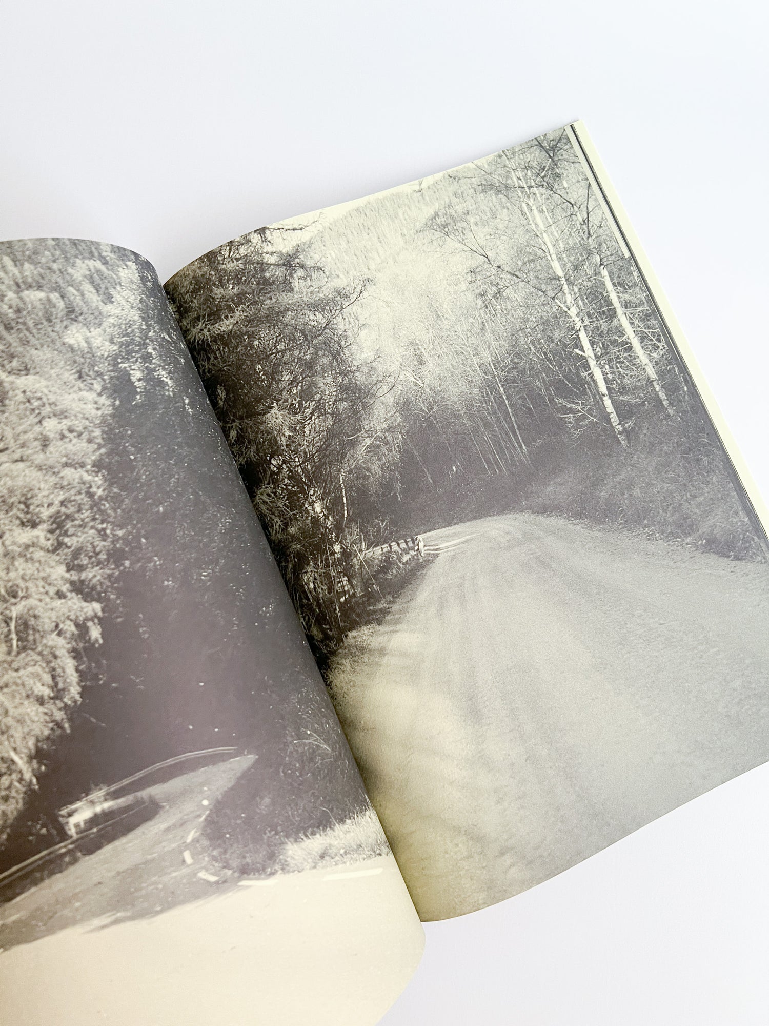 Road to The Farm / Ola Rindal  [SIGNED]