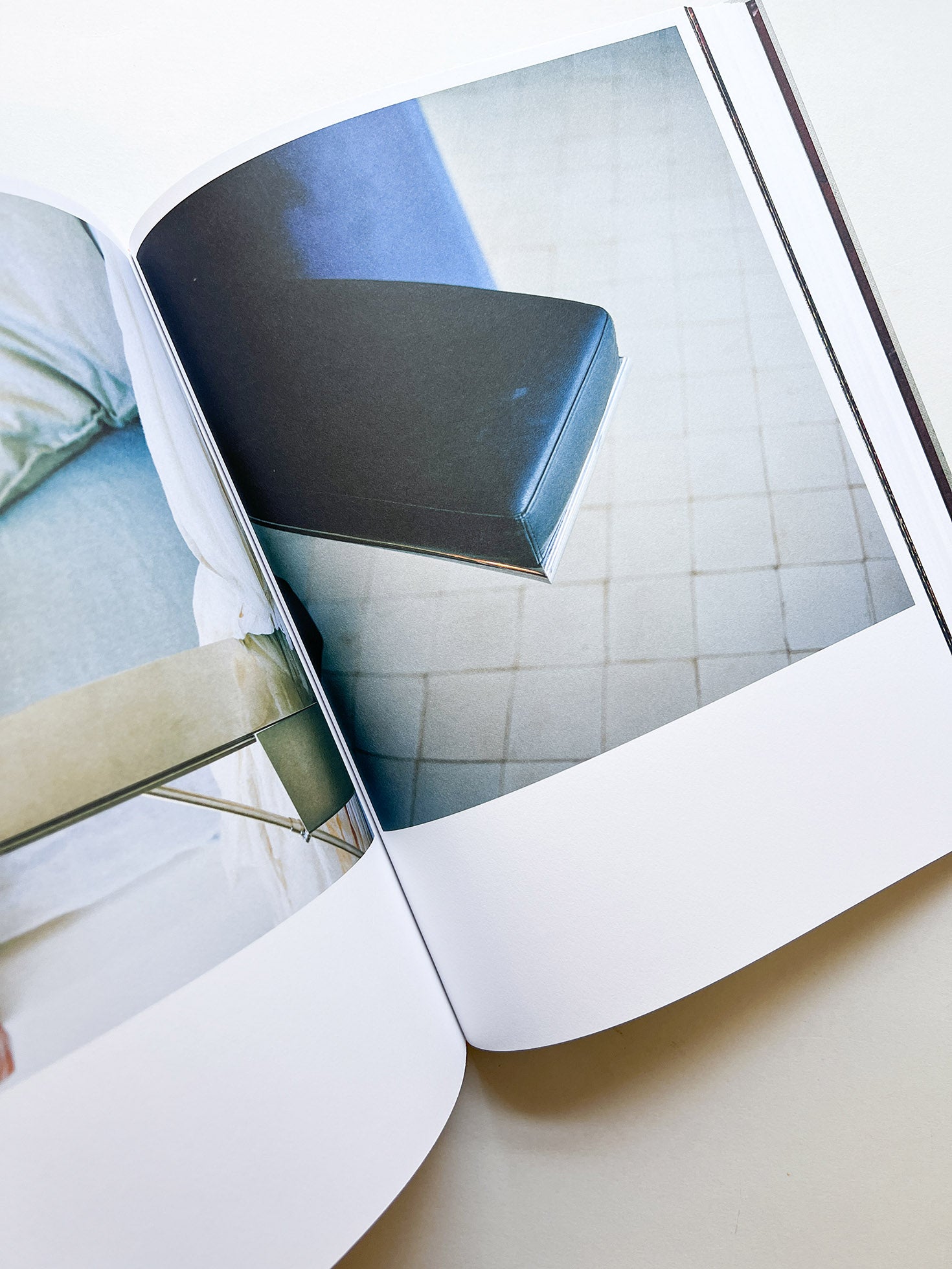 FRANÇOIS HALARD 2: A VISUAL DIARY / Francois Halard - 本 屋 青 旗