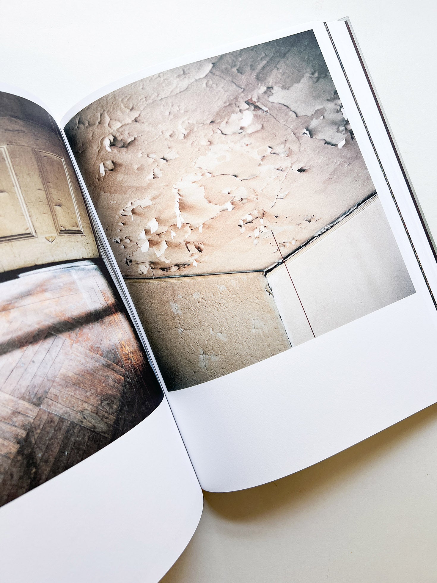 FRANÇOIS HALARD 2: A VISUAL DIARY / Francois Halard - 本屋青旗 Ao