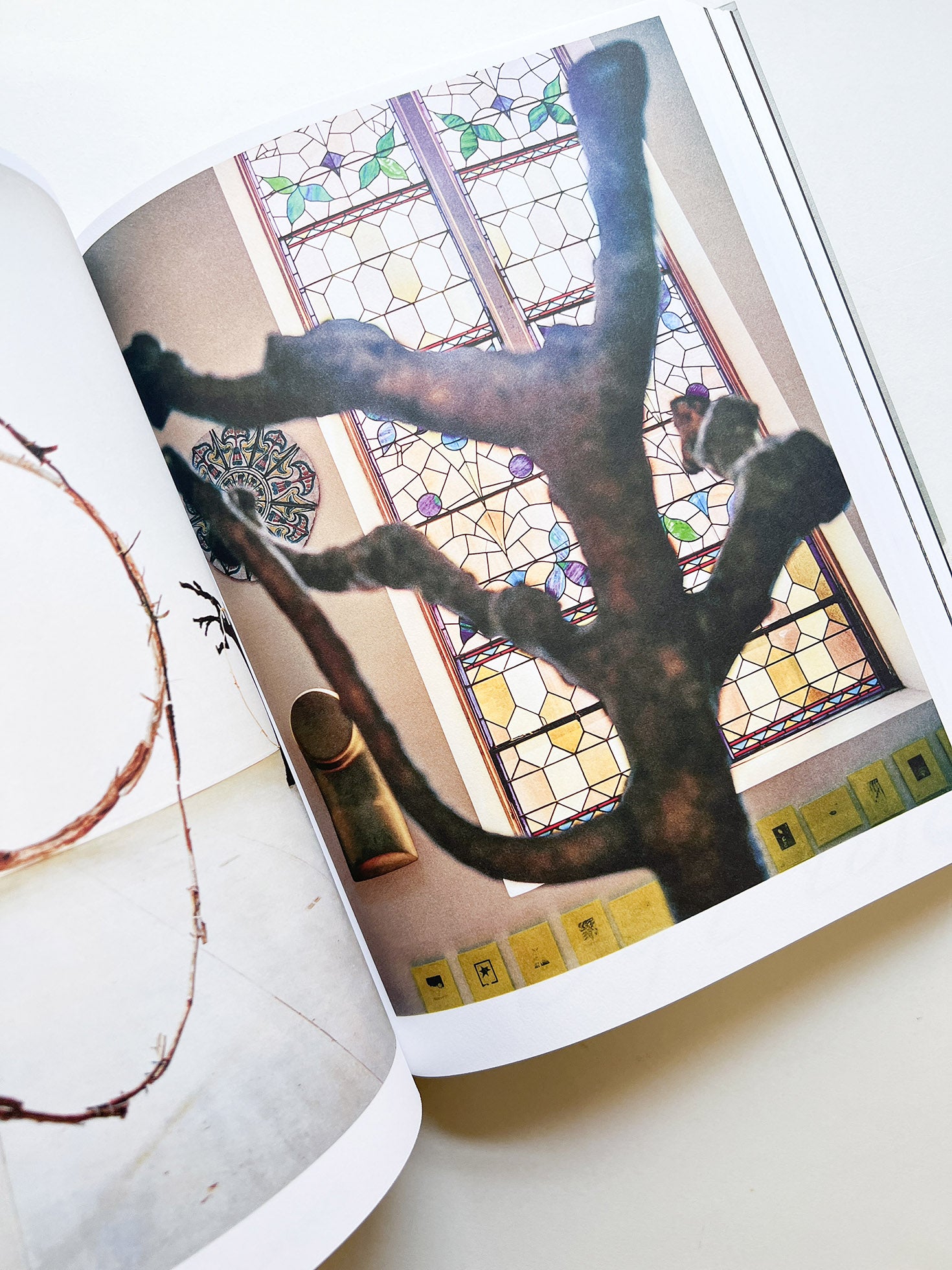 FRANÇOIS HALARD 2: A VISUAL DIARY / Francois Halard