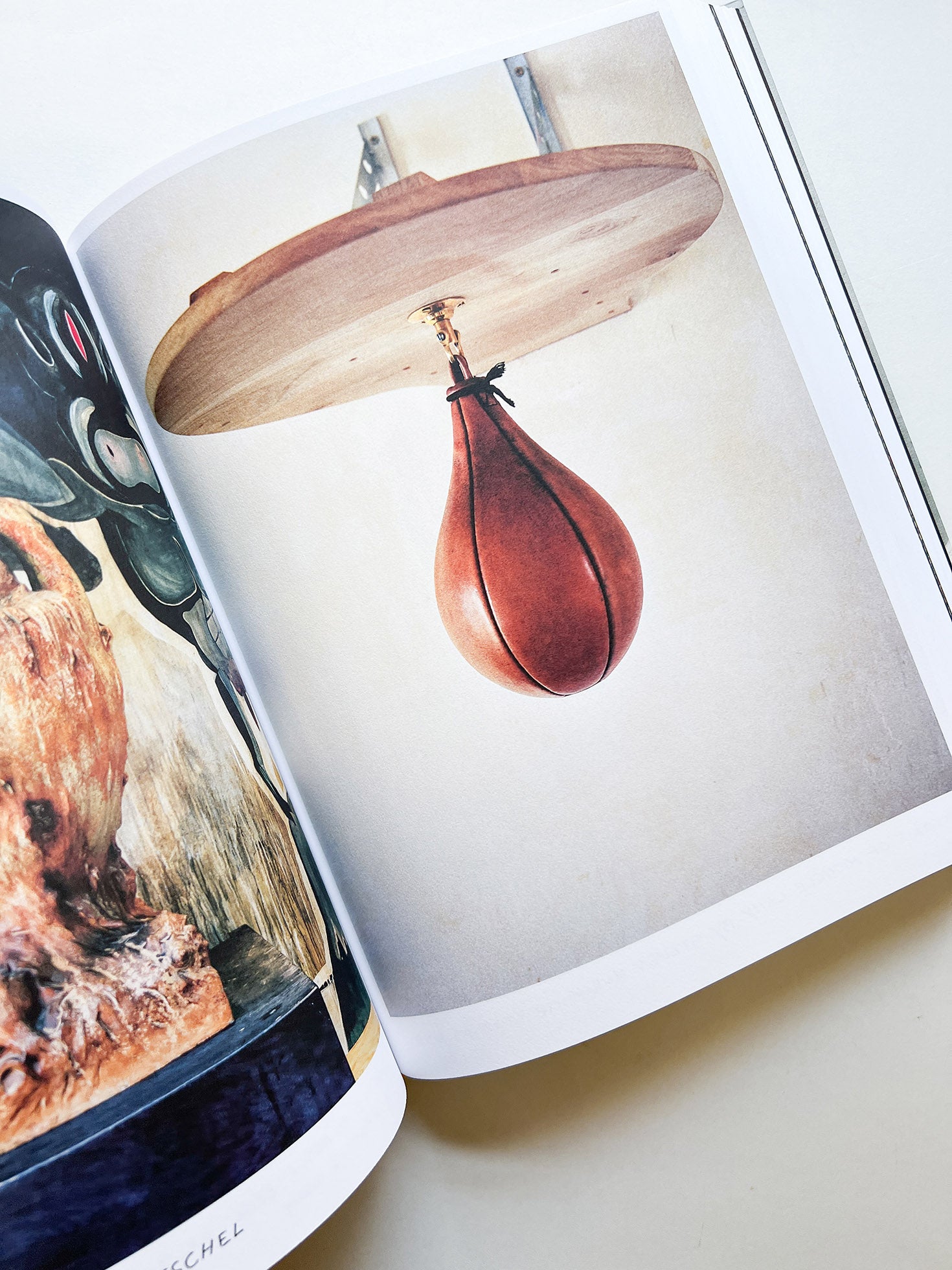 FRANÇOIS HALARD 2: A VISUAL DIARY / Francois Halard