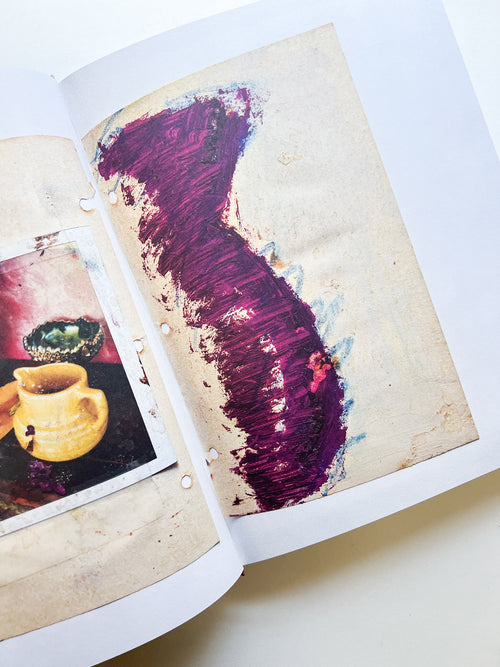 FRANÇOIS HALARD 2: A VISUAL DIARY / Francois Halard