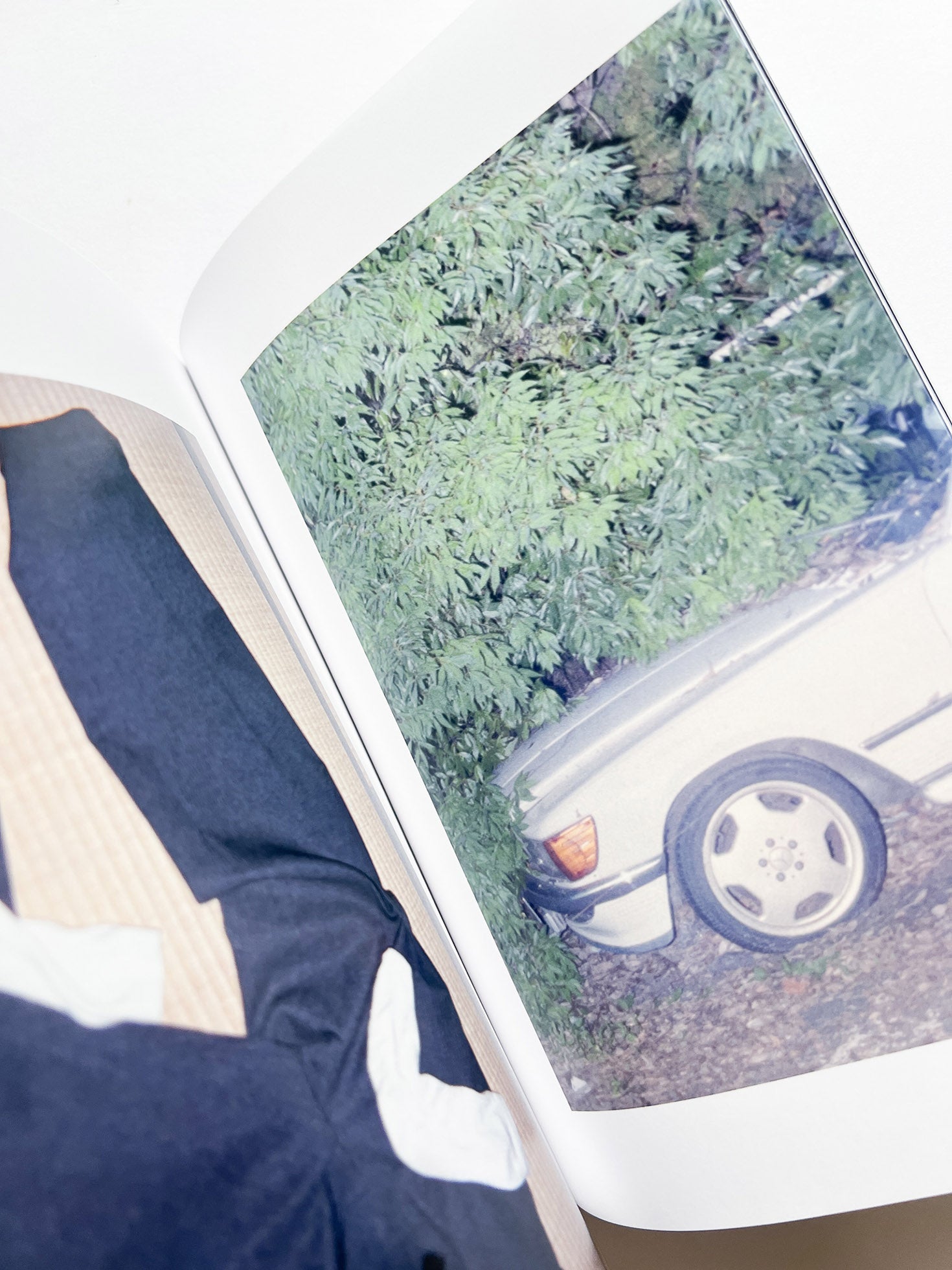 Phantom / Vibration / Taisuke Nakano