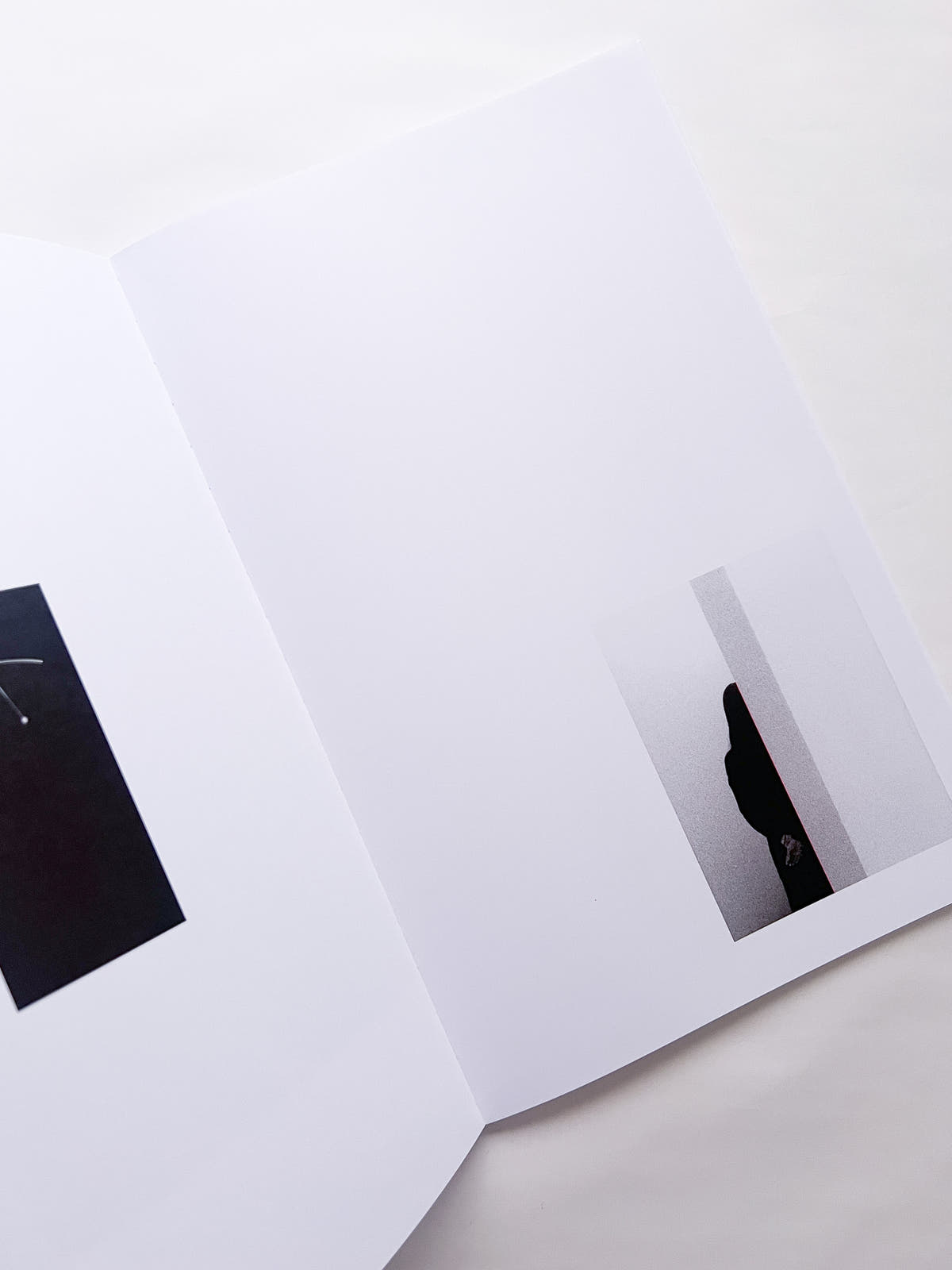 石と桃 counterpoint / Kazuhei Kimura