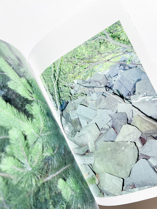 Phantom / Vibration / Taisuke Nakano