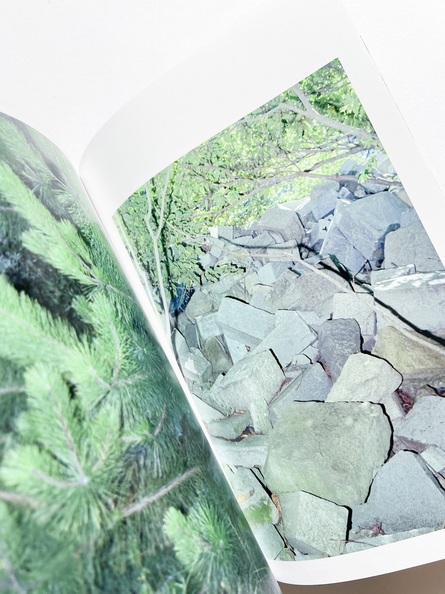 Phantom / Vibration / Taisuke Nakano