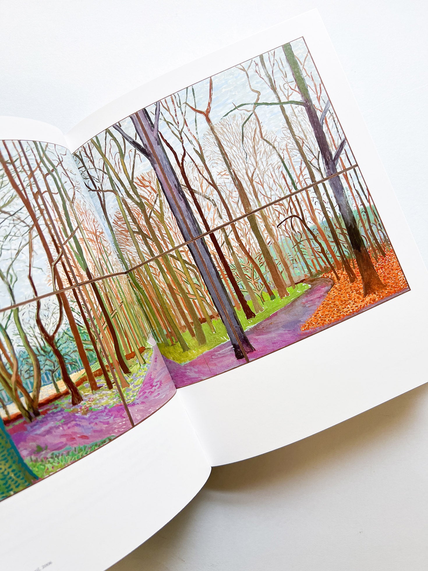 THE HOCKNEY INTERVIEWS / Hans Ulrich Obrist, David Hockney