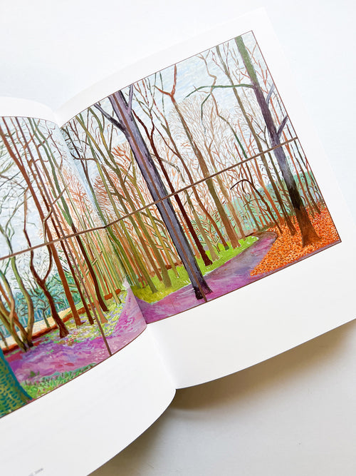 THE HOCKNEY INTERVIEWS / Hans Ulrich Obrist, David Hockney