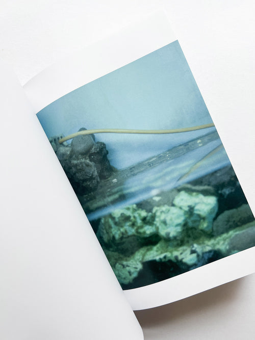 Phantom / Vibration / Taisuke Nakano