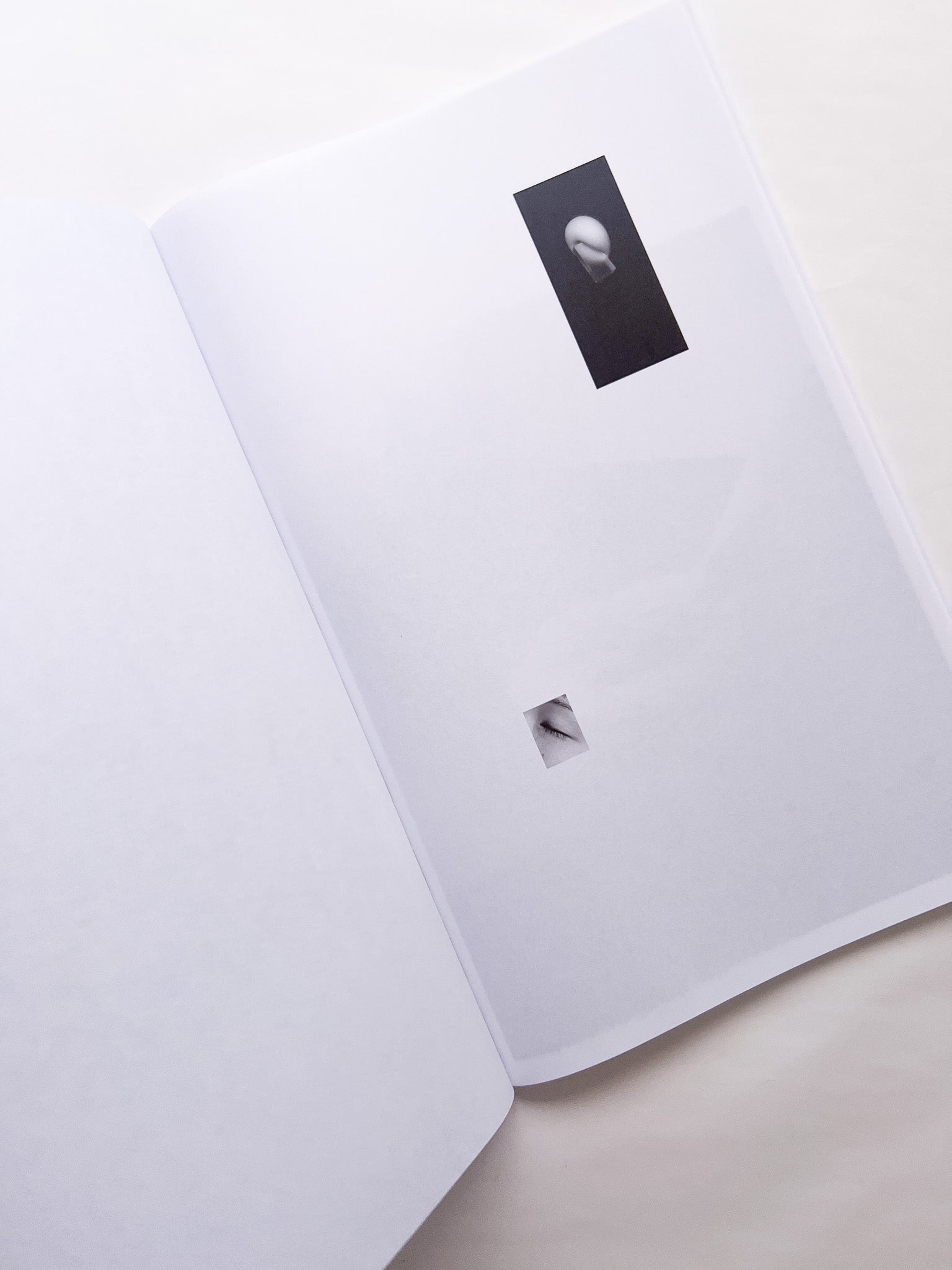 石と桃 counterpoint / Kazuhei Kimura - 本屋青旗 Ao-Hata Bookstore