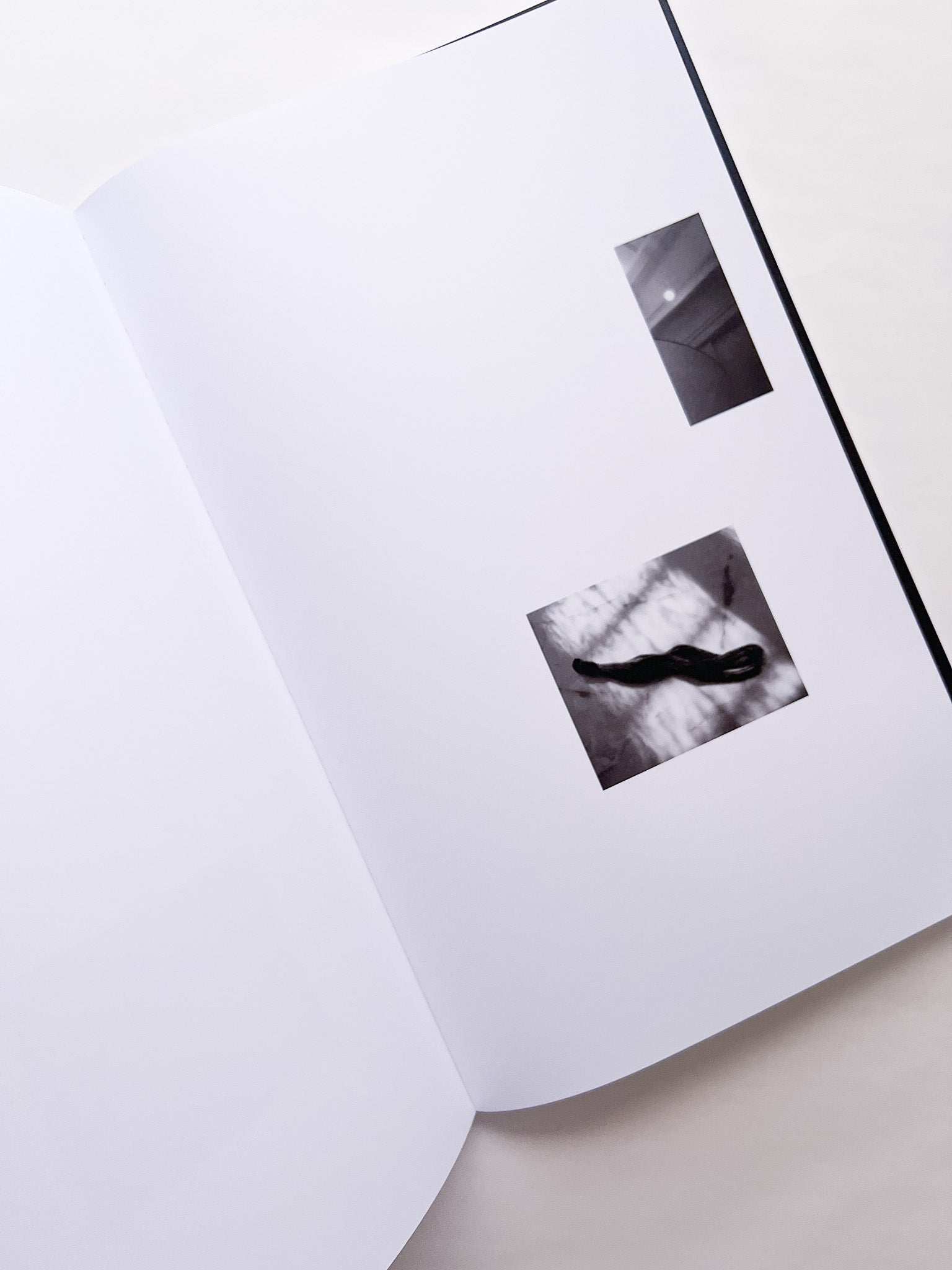 石と桃 counterpoint / Kazuhei Kimura - 本屋青旗 Ao-Hata Bookstore