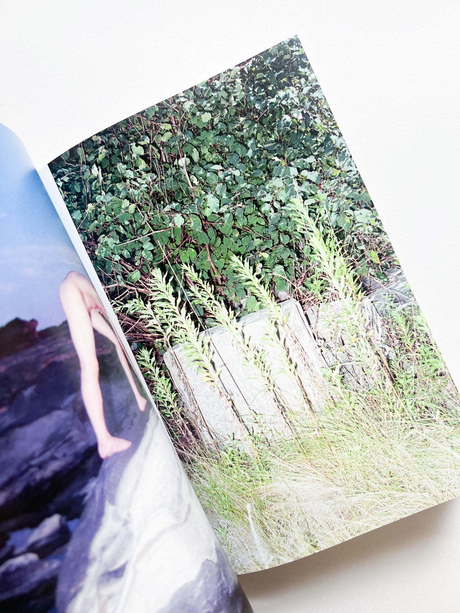 Phantom / Vibration / Taisuke Nakano