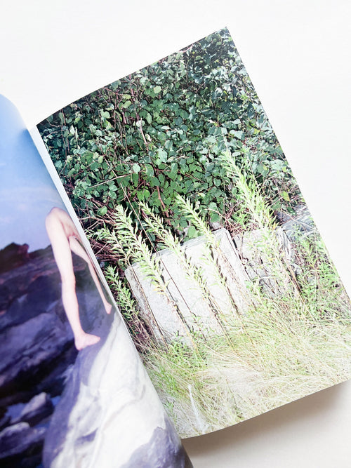 Phantom / Vibration / Taisuke Nakano