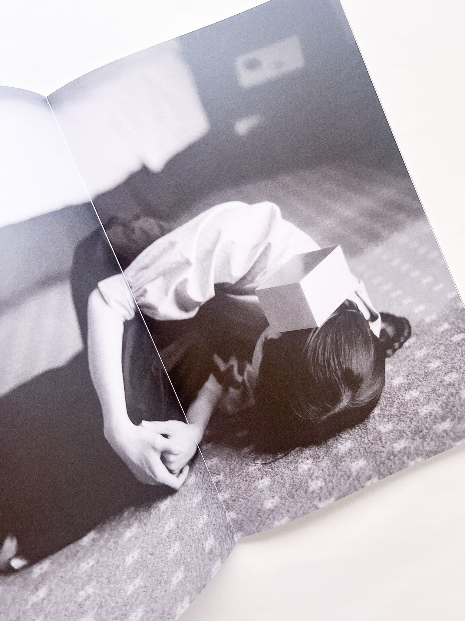 石と桃 counterpoint / Kazuhei Kimura - 本屋青旗 Ao-Hata Bookstore