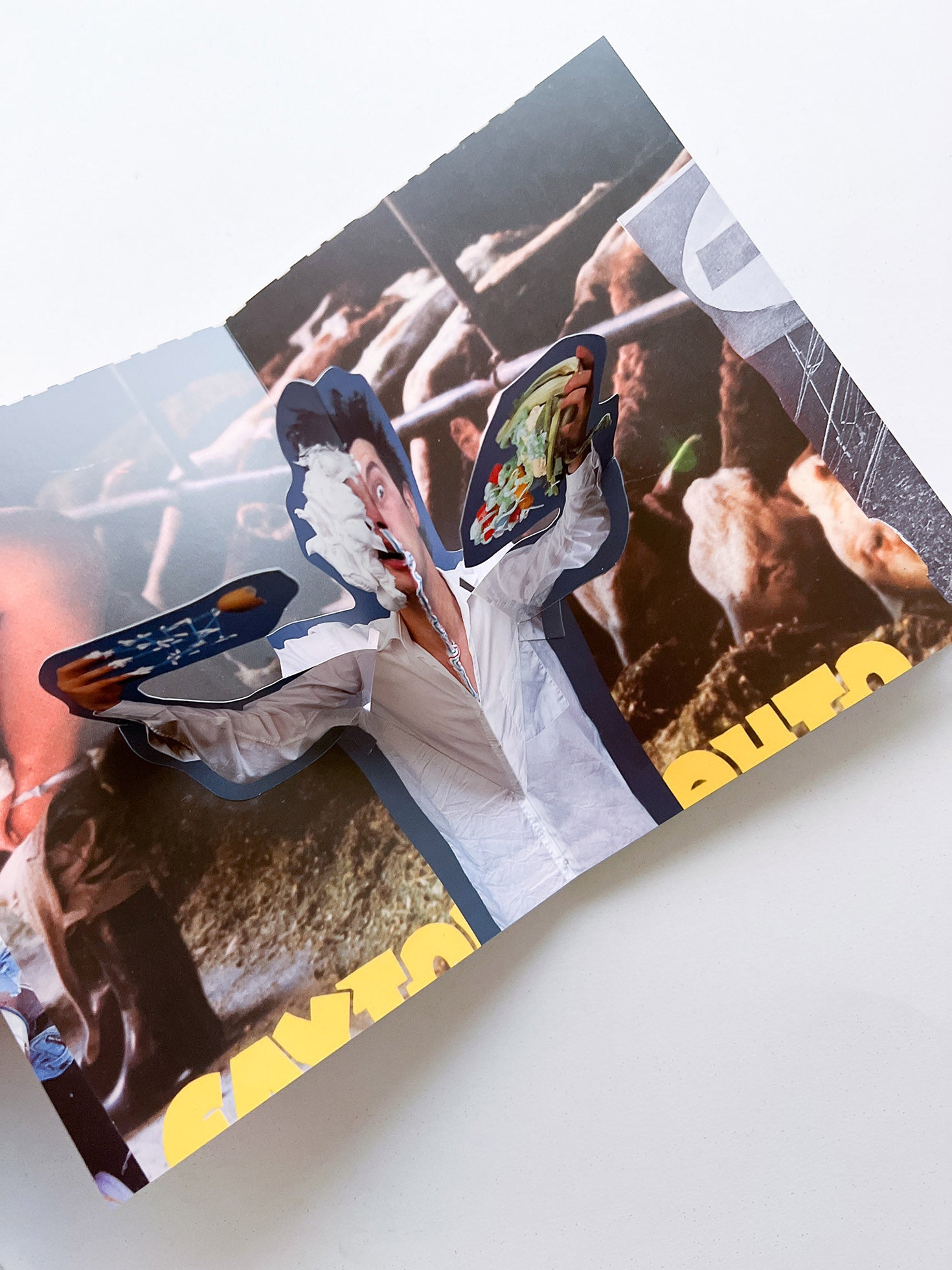 Meech elasticity / John Bock