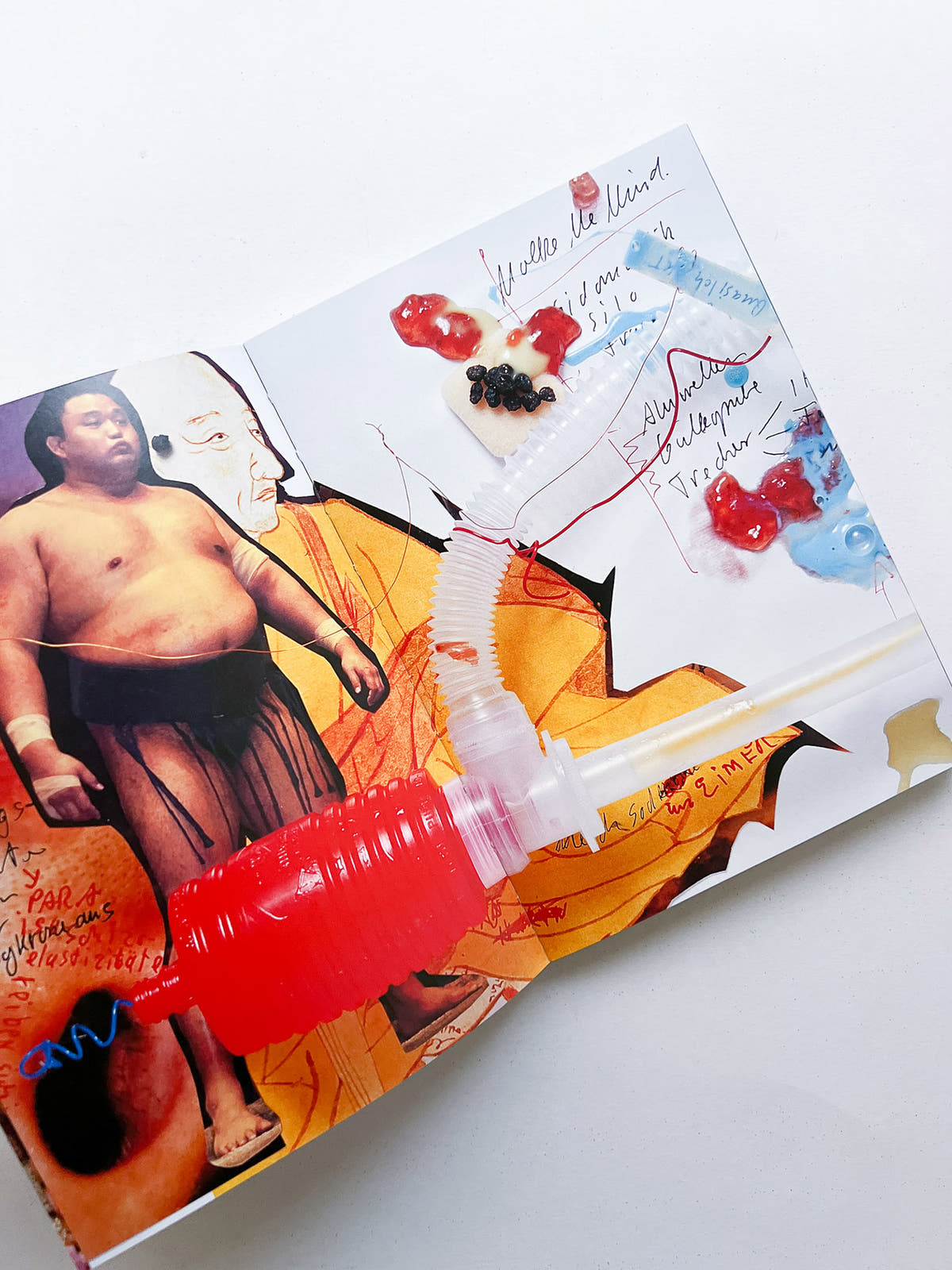 Meech elasticity / John Bock