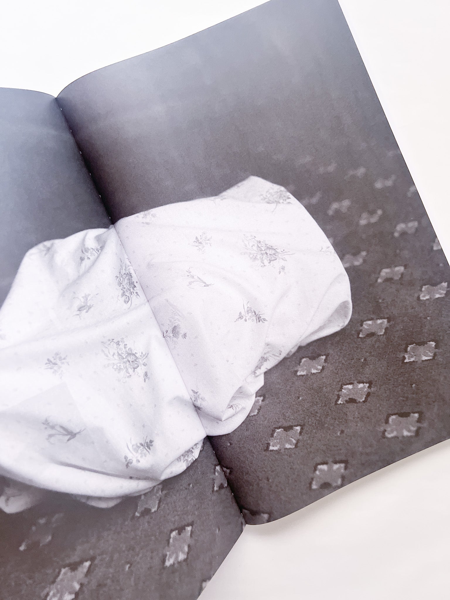 石と桃 counterpoint / Kazuhei Kimura - 本屋青旗 Ao-Hata Bookstore