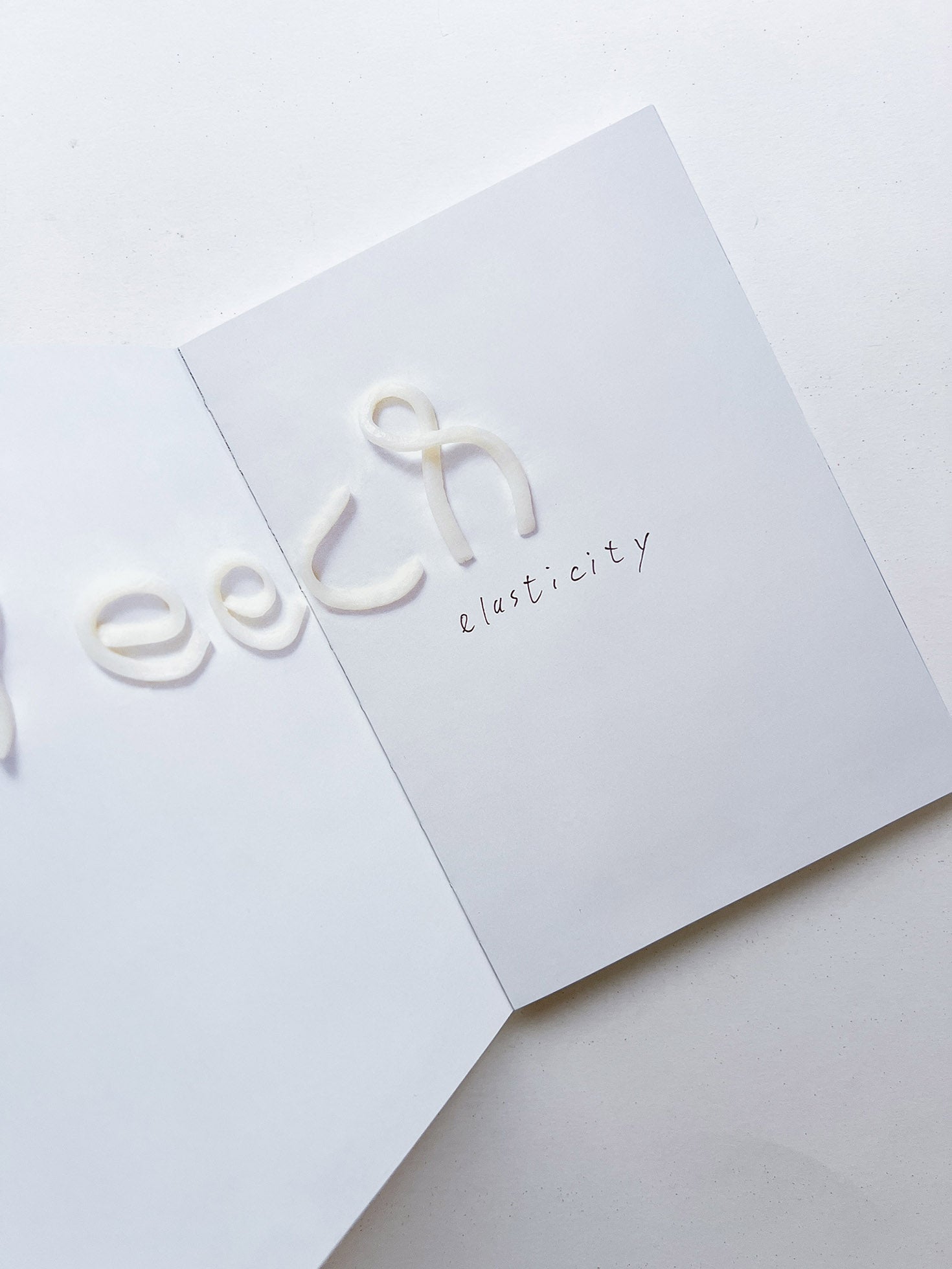 Meech elasticity / John Bock