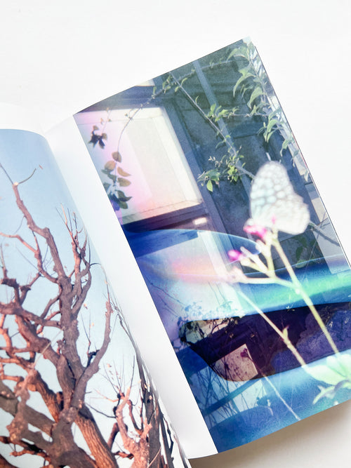 Phantom / Vibration / Taisuke Nakano