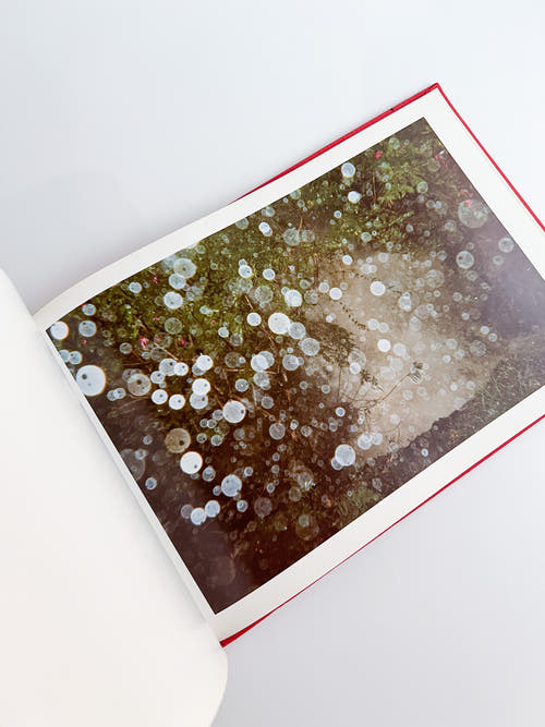 Unseen UK A Book of Photographs by the People at Royal Mail / Stephen Gill