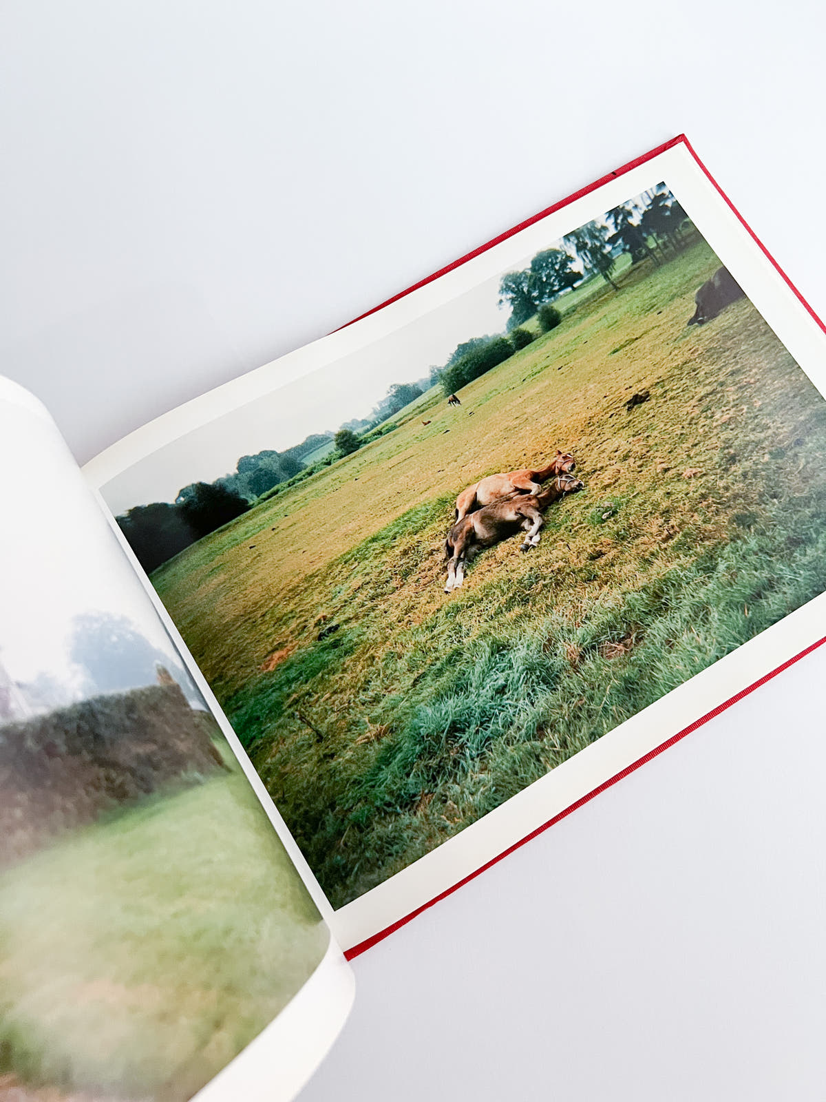 Unseen UK A Book of Photographs by the People at Royal Mail / Stephen Gill