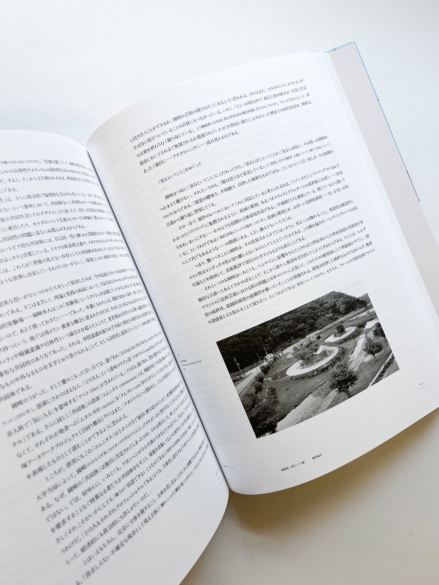 岡﨑乾二郎　視覚のカイソウ [SIGNED]