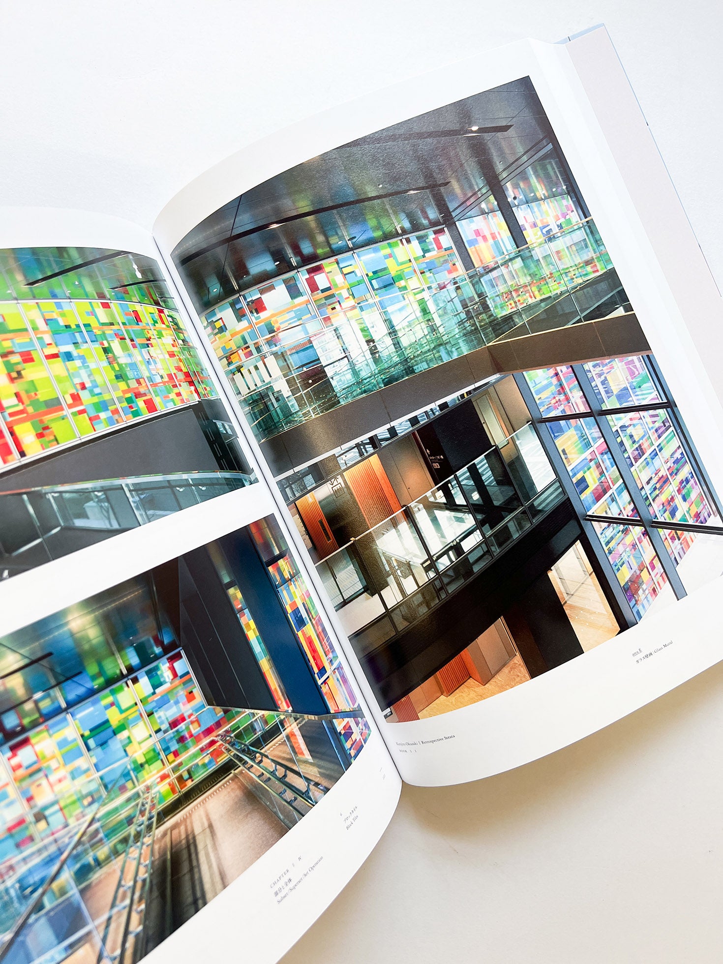 岡﨑乾二郎　視覚のカイソウ [SIGNED]