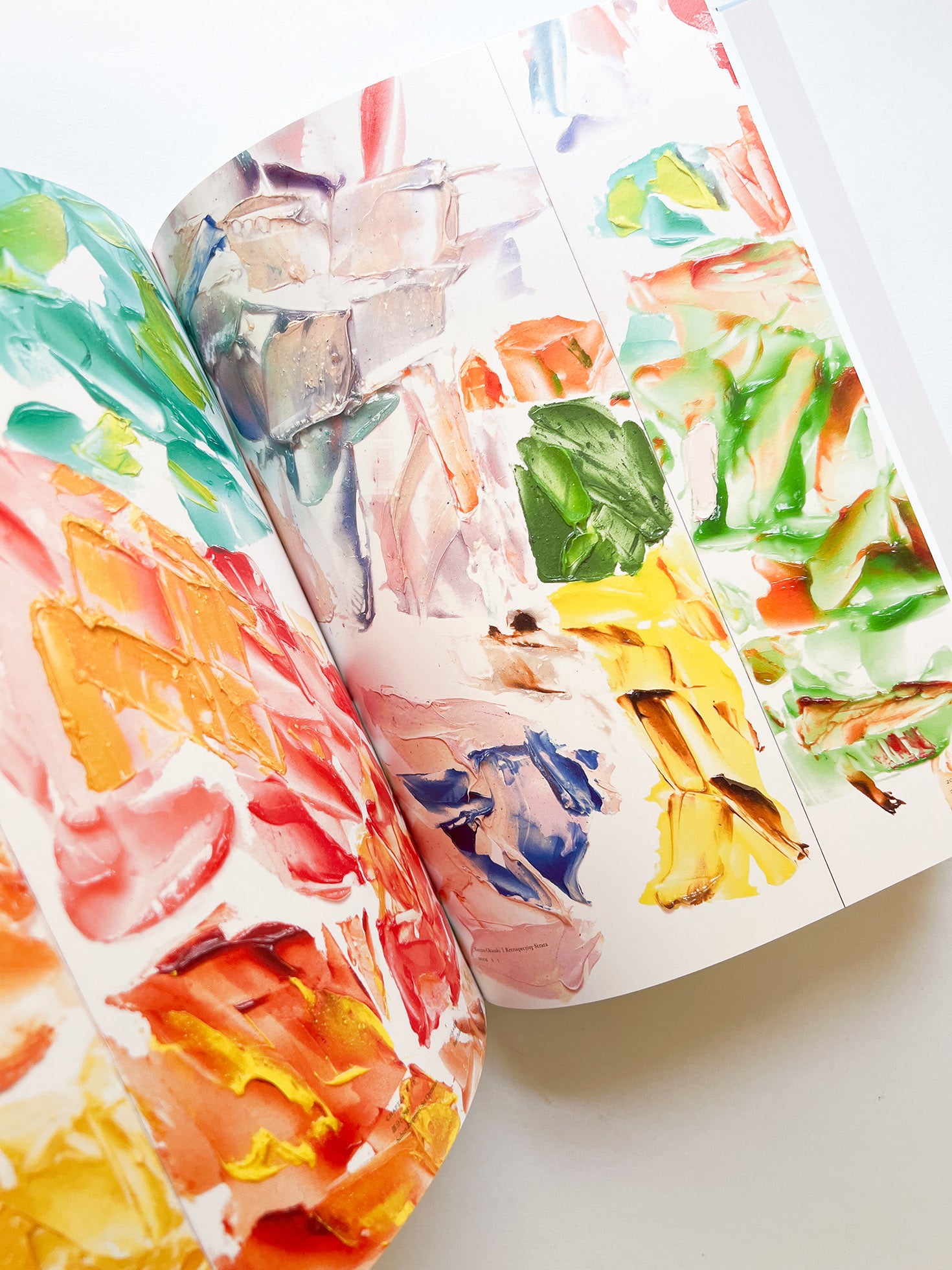 岡﨑乾二郎　視覚のカイソウ [SIGNED]