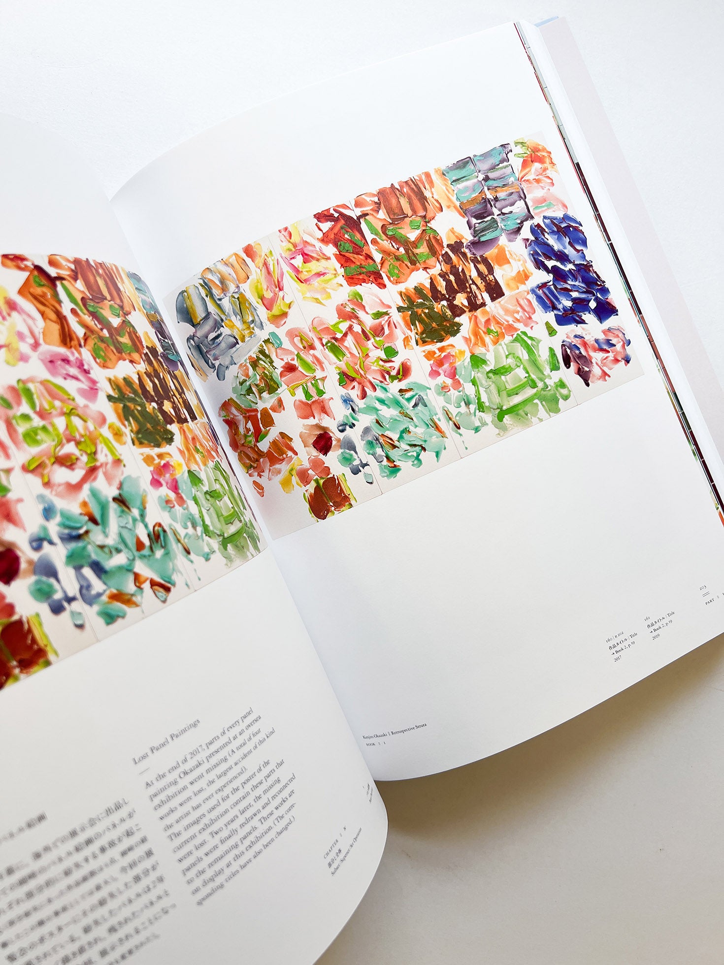 岡﨑乾二郎　視覚のカイソウ [SIGNED]