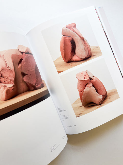 岡﨑乾二郎　視覚のカイソウ [SIGNED]