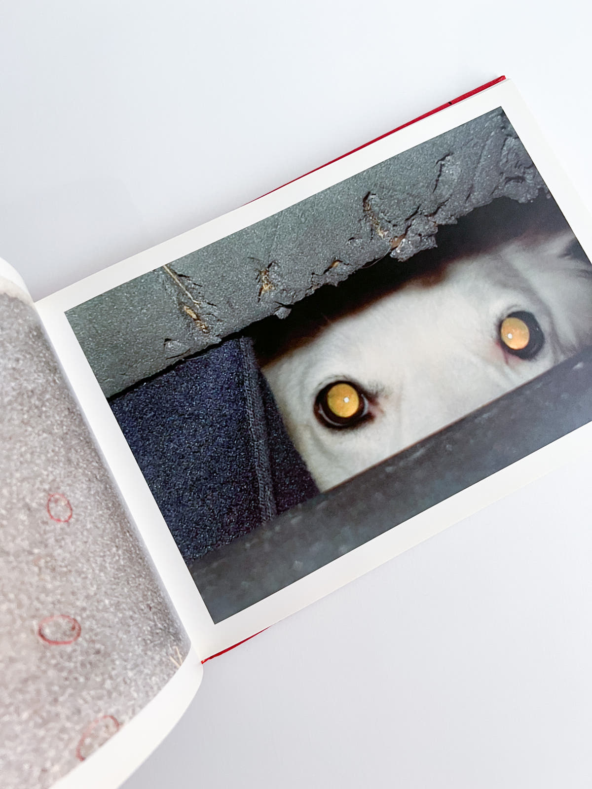 Unseen UK A Book of Photographs by the People at Royal Mail / Stephen Gill
