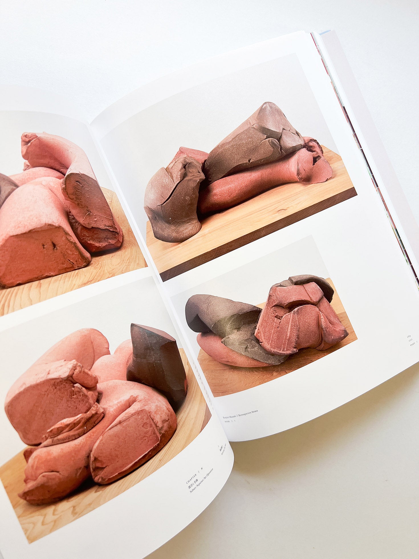 岡﨑乾二郎　視覚のカイソウ [SIGNED]