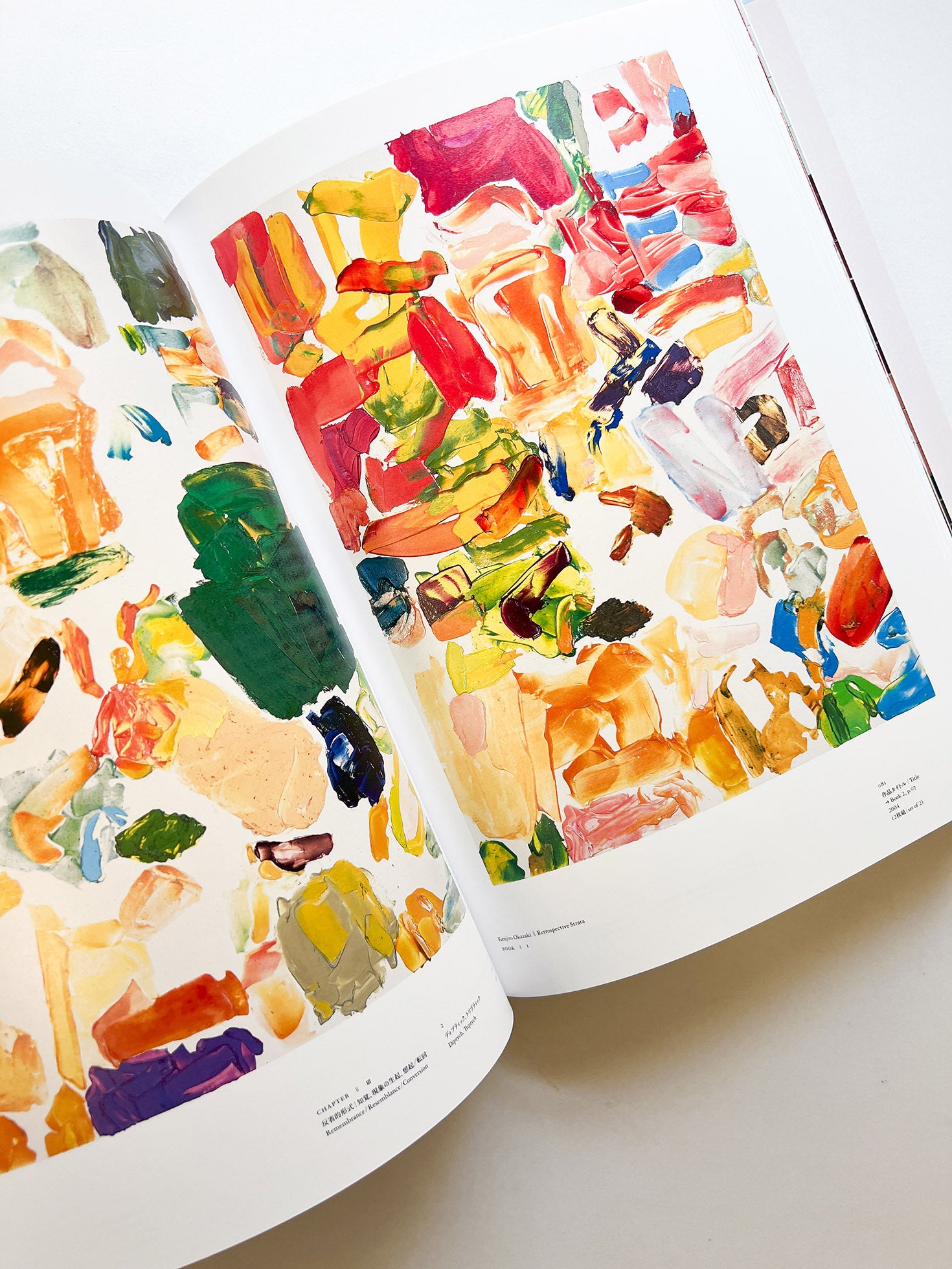 岡﨑乾二郎　視覚のカイソウ [SIGNED]