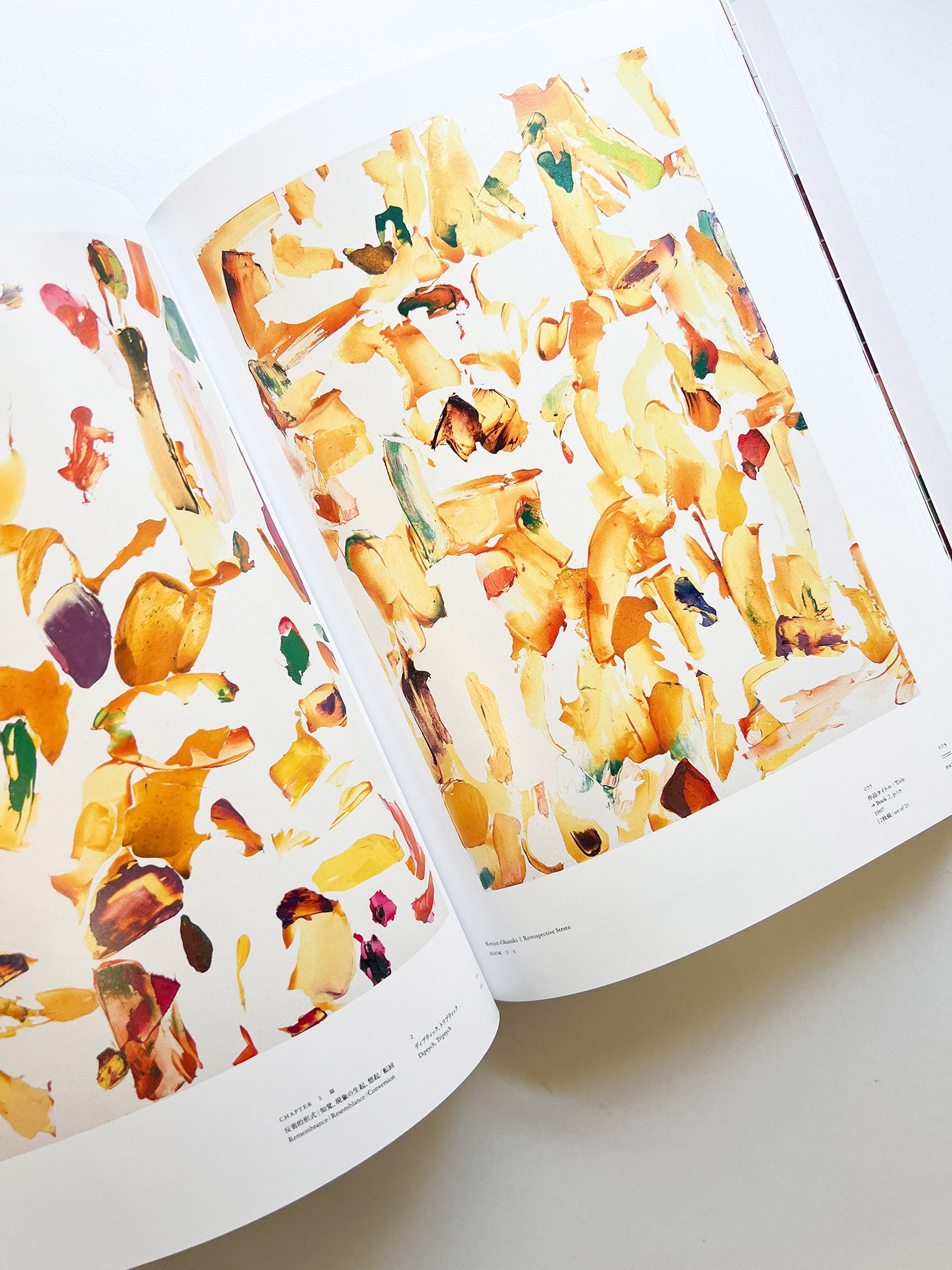 岡﨑乾二郎　視覚のカイソウ [SIGNED]